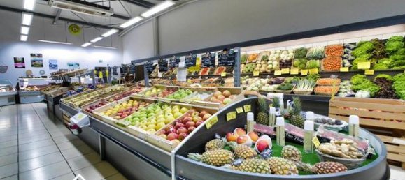 135m² Commercial property in Castres, France No. 300361 5