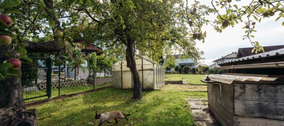 5 rooms House in Strassgang, Austria No. 206586 8