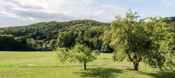 5 rooms House in Strassgang, Austria No. 206586 14