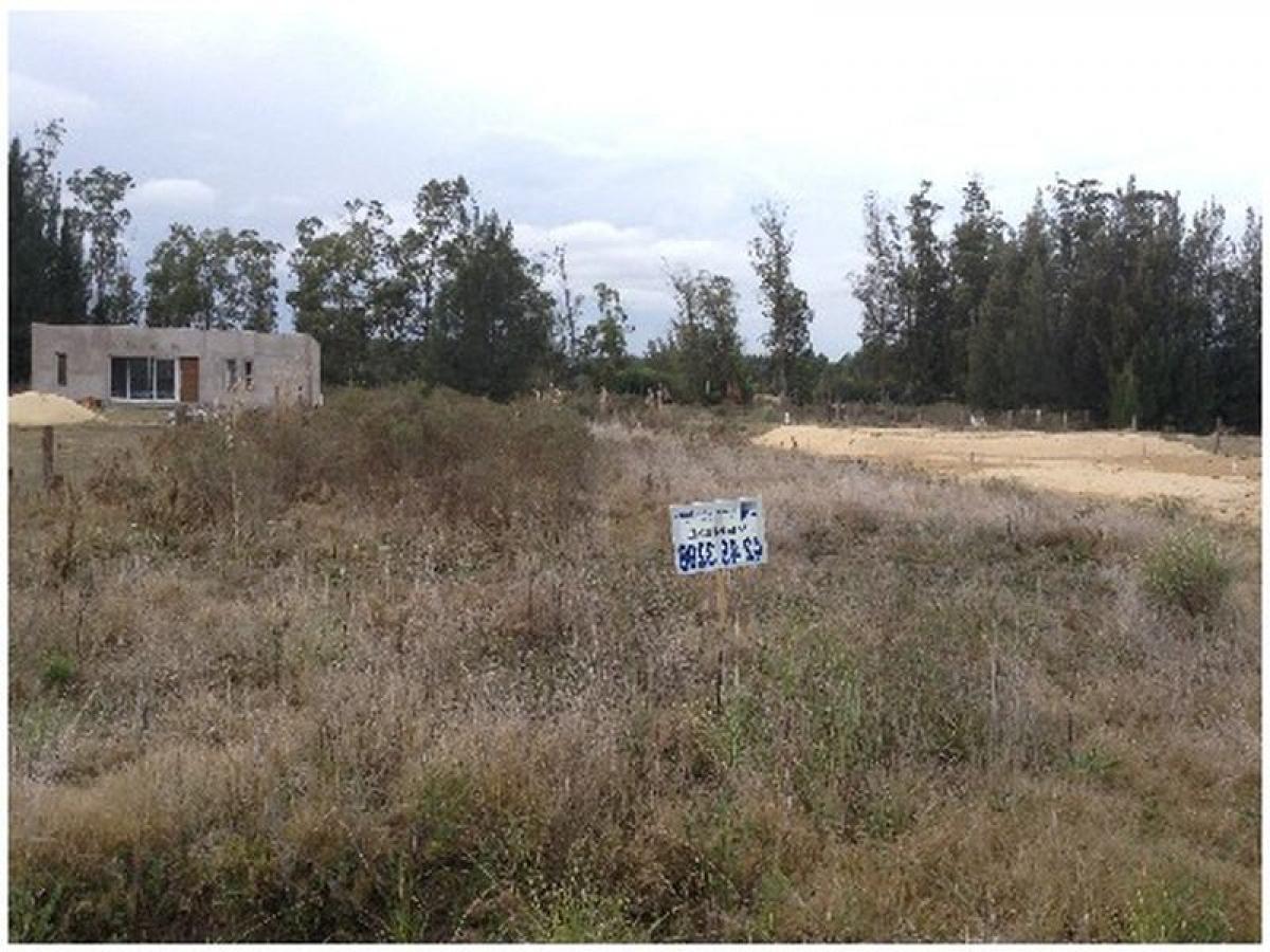 Grundstück in Maldonado, Uruguay, Nr. 14970