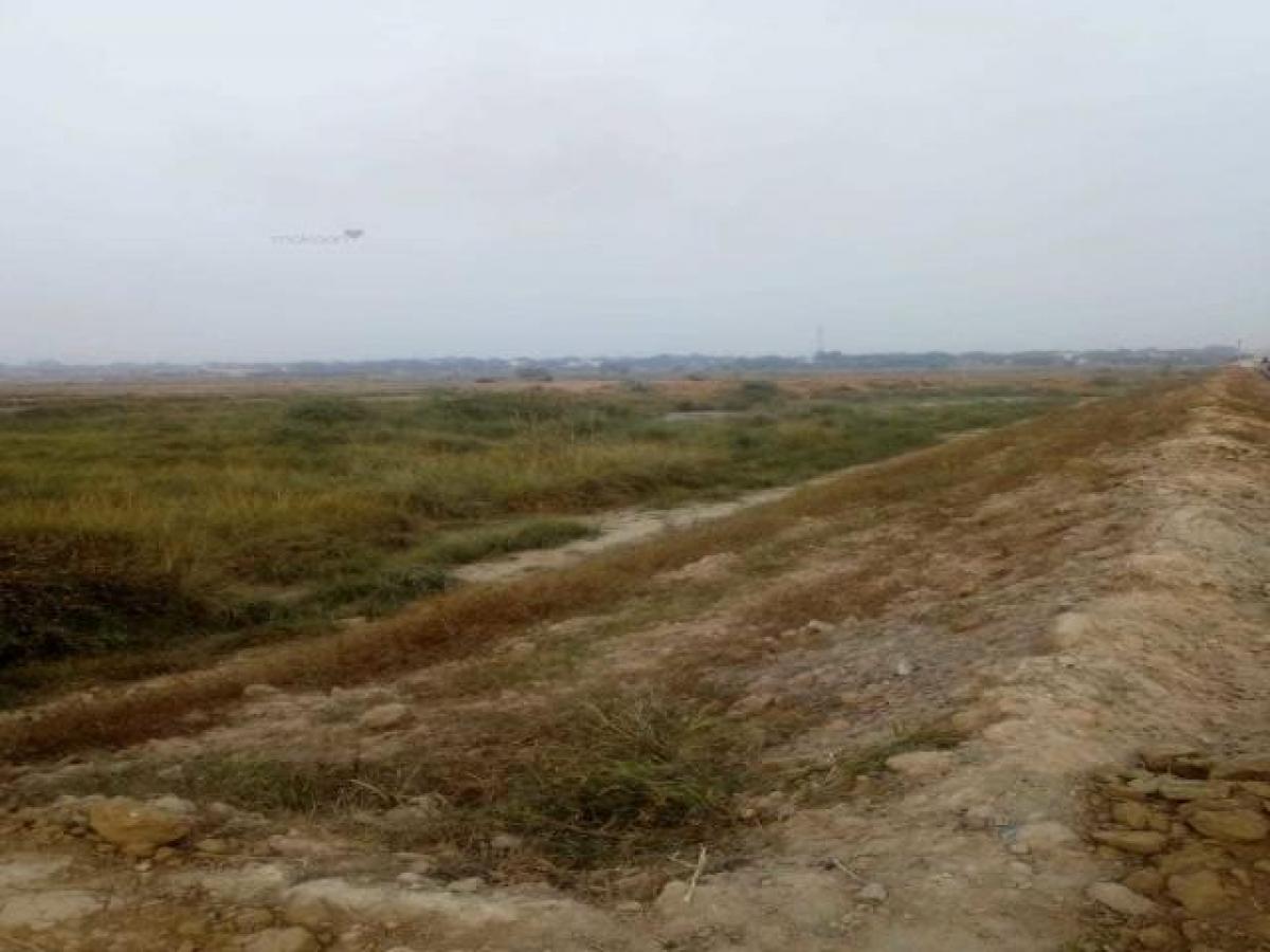  Land in Noida, India No. 65492