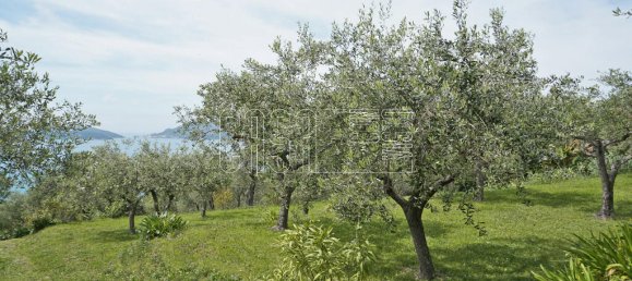 6 bedrooms Villa in Lerici, Italy No. 140518 50