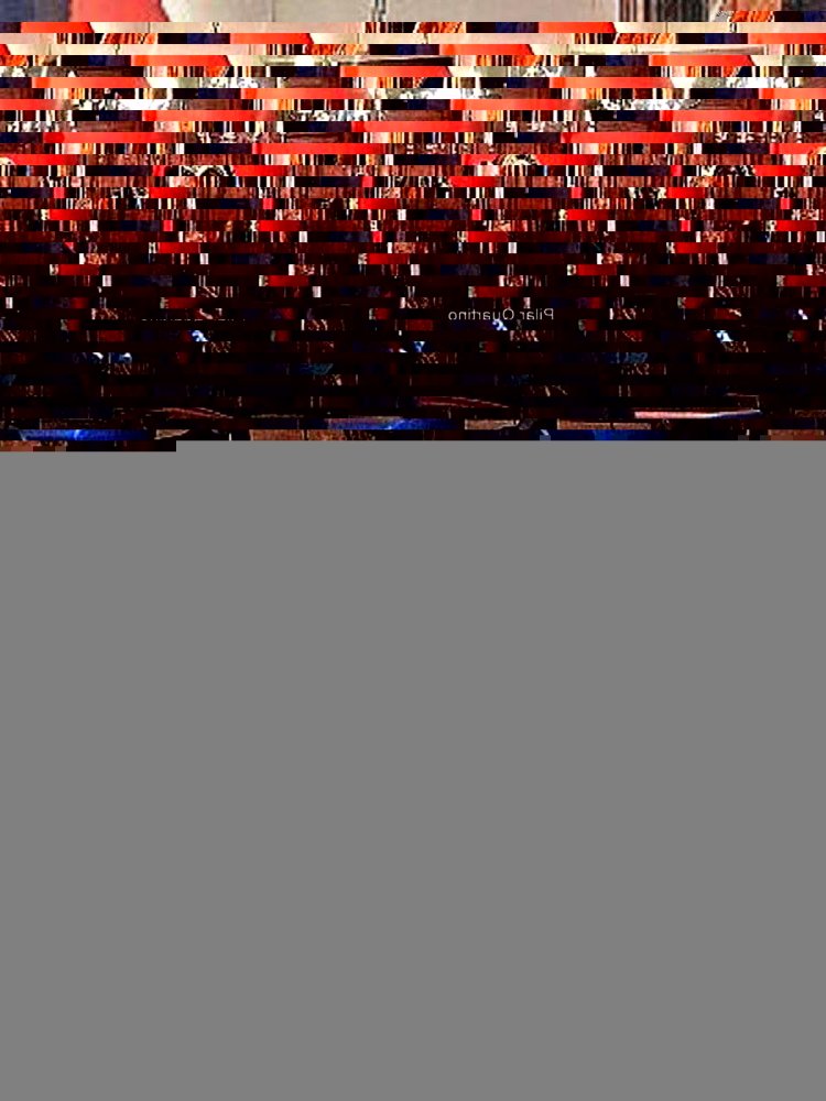 4 bedrooms House in Montevideo, Uruguay No. 8060