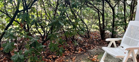 Studio in Wandsbek, Germany No. 268447 4