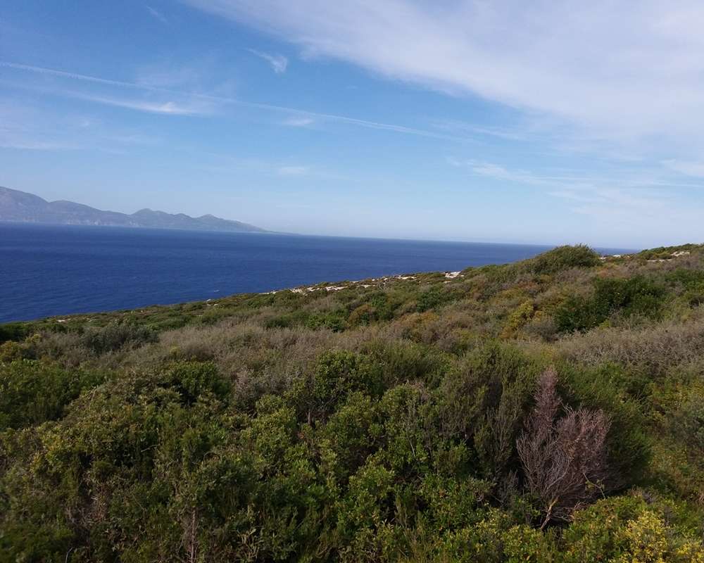 Land for sale in Zakynthos, Ionian Islands, Peloponnese, Western Greece and the Ionian, Greece № 818
