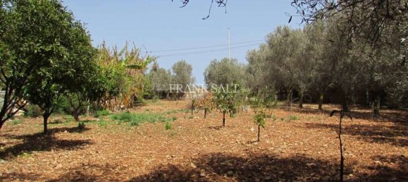 2 غرف نوم مزرعة في Mgarr, Malta رقم 3849 23