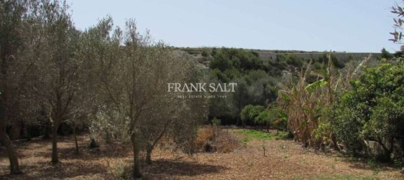 2 غرف نوم مزرعة في Mgarr, Malta رقم 3849 10