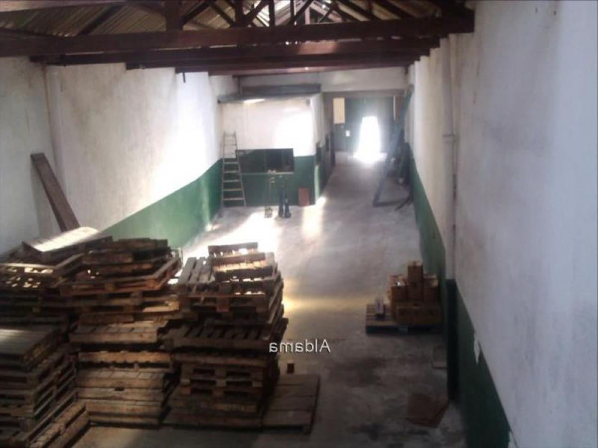  عقار تجاري في Montevideo, Uruguay رقم 13620