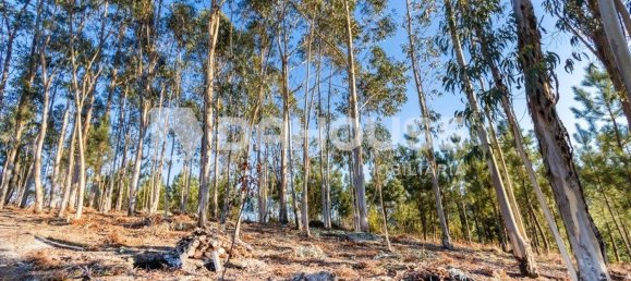 Terreno em Rossas, Portugal 12130 m² N.º 61022 6