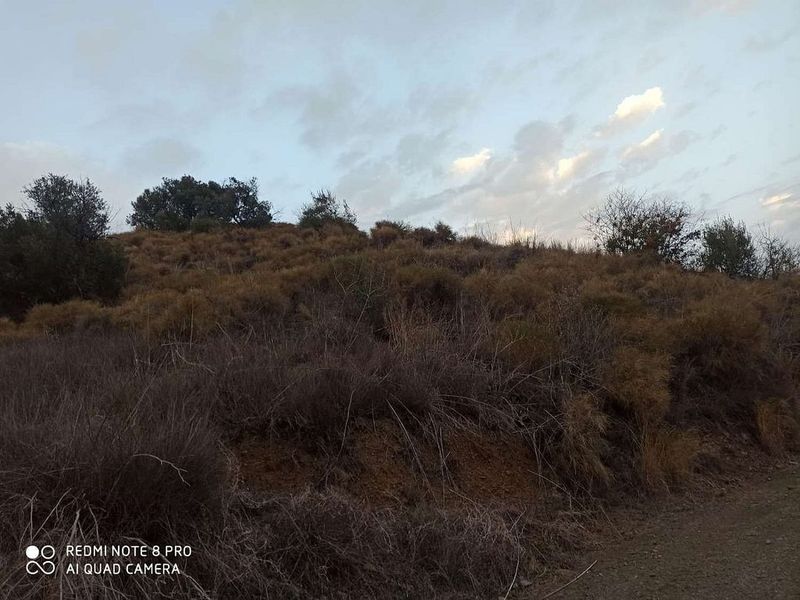 Grundstück in Iznate, Spain 13300m², Nr. 223816