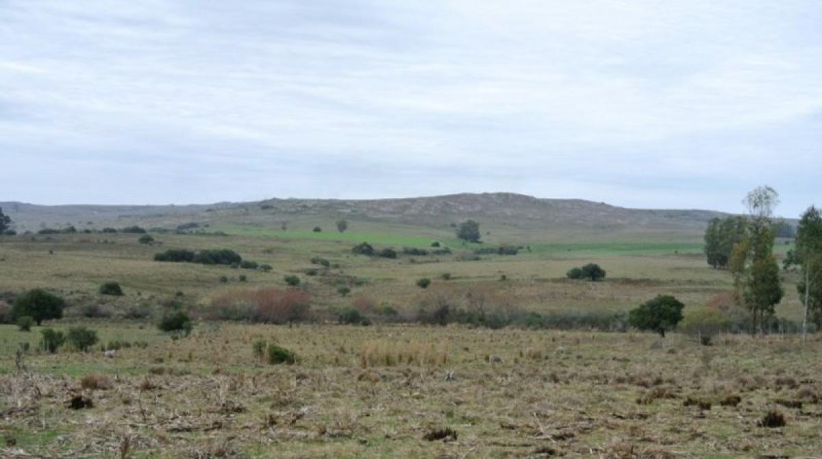 120m² Farm in Maldonado, Uruguay No. 15702