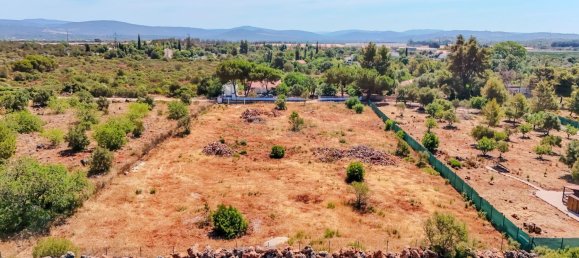 5000m² Land in Silves, Portugal No. 295581 7