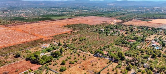 5000m² Land in Silves, Portugal No. 295581 15