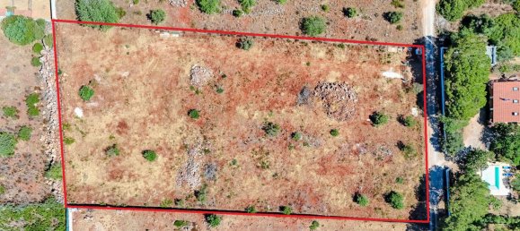 5000m² Land in Silves, Portugal No. 295581 13