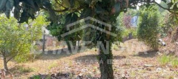 2 bedrooms House in Vila Nova de Gaia, Portugal No. 40858 23