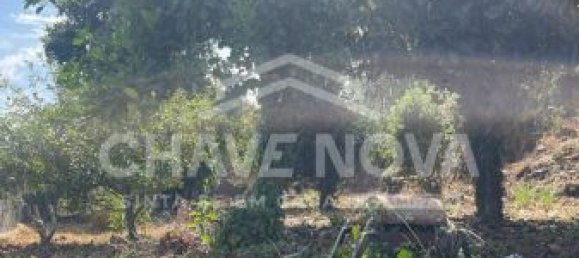 2 bedrooms House in Vila Nova de Gaia, Portugal No. 40858 18