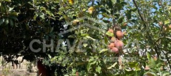 2 bedrooms House in Vila Nova de Gaia, Portugal No. 40858 21