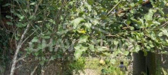 2 bedrooms House in Vila Nova de Gaia, Portugal No. 40858 16