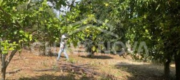 2 bedrooms House in Vila Nova de Gaia, Portugal No. 40858 22