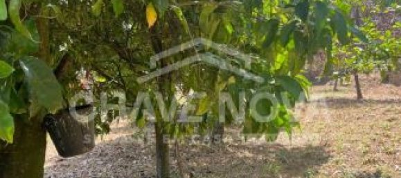 2 bedrooms House in Vila Nova de Gaia, Portugal No. 40858 14