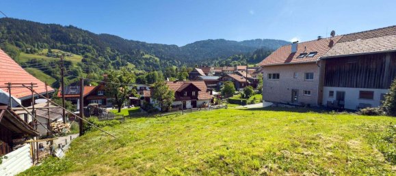 Land in Dornbirn, Austria No. 164322 3