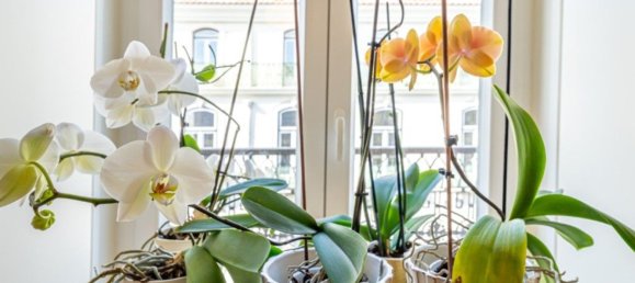 4 bedrooms Duplex in Lisbon, Portugal No. 103976 26