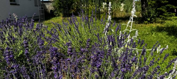 4-Zimmer Haus in Neunkirchen, Austria, Nr. 149121 4