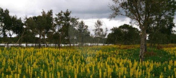 Terreno en Messejana, Portugal 807500 m² No. 39814 7