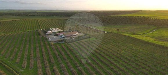 Terreno en Messejana, Portugal 807500 m² No. 39814 23