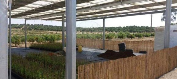 Terreno en Messejana, Portugal 807500 m² No. 39814 2