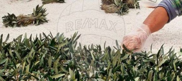 Terreno en Messejana, Portugal 807500 m² No. 39814 8