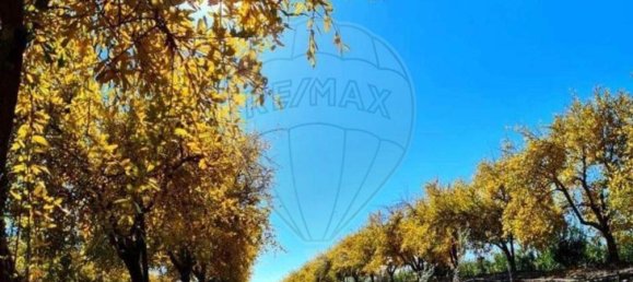 Terreno en Messejana, Portugal 807500 m² No. 39814 6