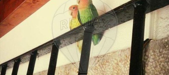 Terreno en Messejana, Portugal 807500 m² No. 39814 25