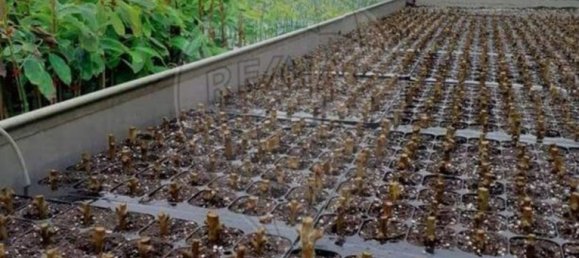 Terreno en Messejana, Portugal 807500 m² No. 39814 9