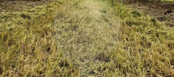 Terreno en Messejana, Portugal 807500 m² No. 39814 13