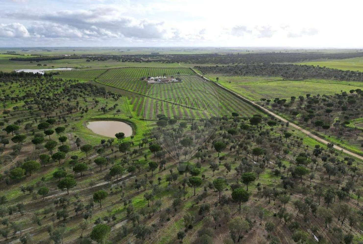 Terreno en Messejana, Portugal 807500 m² No. 39814