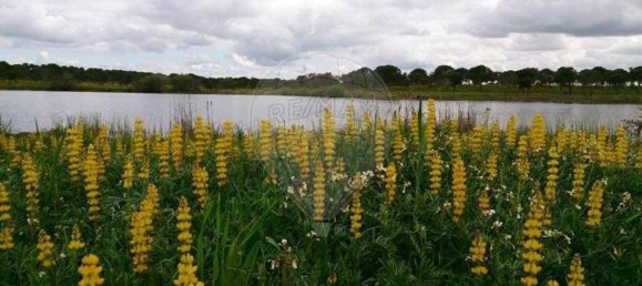 Terreno en Messejana, Portugal 807500 m² No. 39814 29