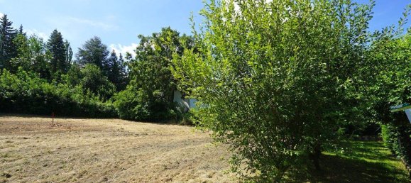 Земельный участок в Пресбаум, Австрия № 133155 4