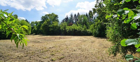 Земельный участок в Пресбаум, Австрия № 133155 3