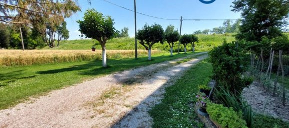 7 chambres Maison à Villanova Marchesana, Italy No. 63779 3