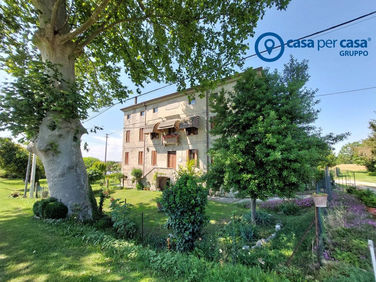 7 chambres Maison à Villanova Marchesana, Italy No. 63779