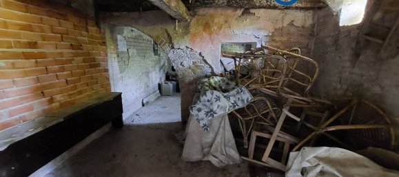 7 chambres Maison à Villanova Marchesana, Italy No. 63779 44