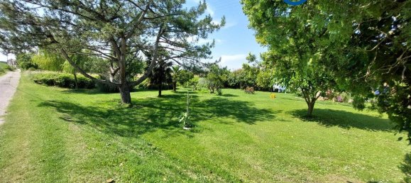 7 chambres Maison à Villanova Marchesana, Italy No. 63779 6