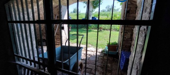 7 chambres Maison à Villanova Marchesana, Italy No. 63779 40