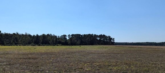 Terreno en Oberhavel, Germany No. 95561 13