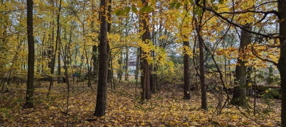 Terreno en Oberhavel, Germany No. 95561 2