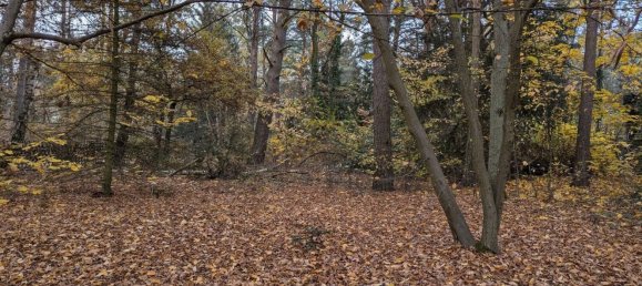 Terreno en Oberhavel, Germany No. 95561 5