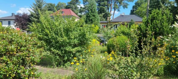 Moradia em banda T4 em Potsdam, Germany N.º 66227 13