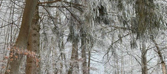 5 rooms Apartment in Zollernalbkreis, Germany No. 217831 16