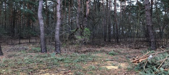 Land in Kopenick, Germany No. 253409 5